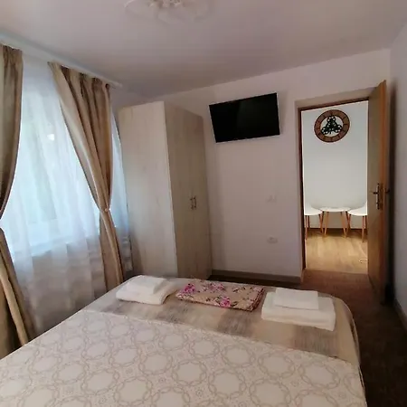 Stefi Konukevi *